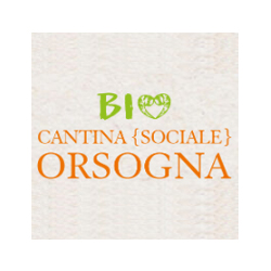 Bio Cantina Orsogna Bio Cantina Orsogna
